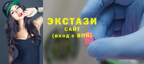 индика Чита