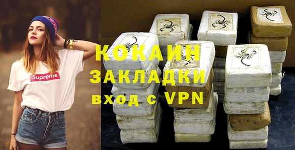 индика Чита