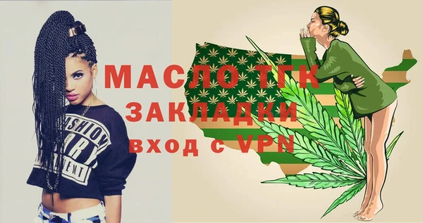 индика Чита